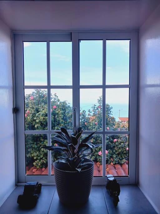 Achadas Da Cruz Farm House ภายนอก รูปภาพ